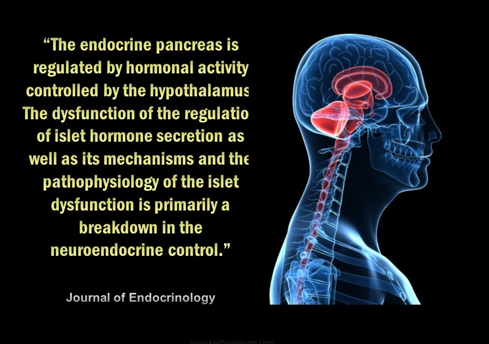 #11 The Endocrine System