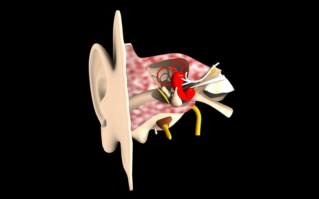 Tinnitus and Structural Correction